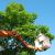 Sandy Hook Tree Services by MRO Landscaping LLC